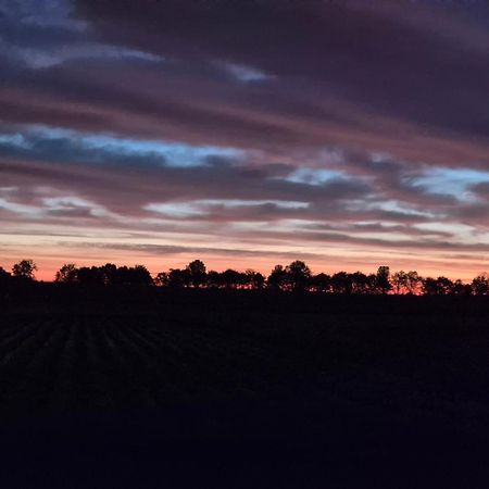 Slapen Aan De Voet Van De Molen Ovezande Dış mekan fotoğraf