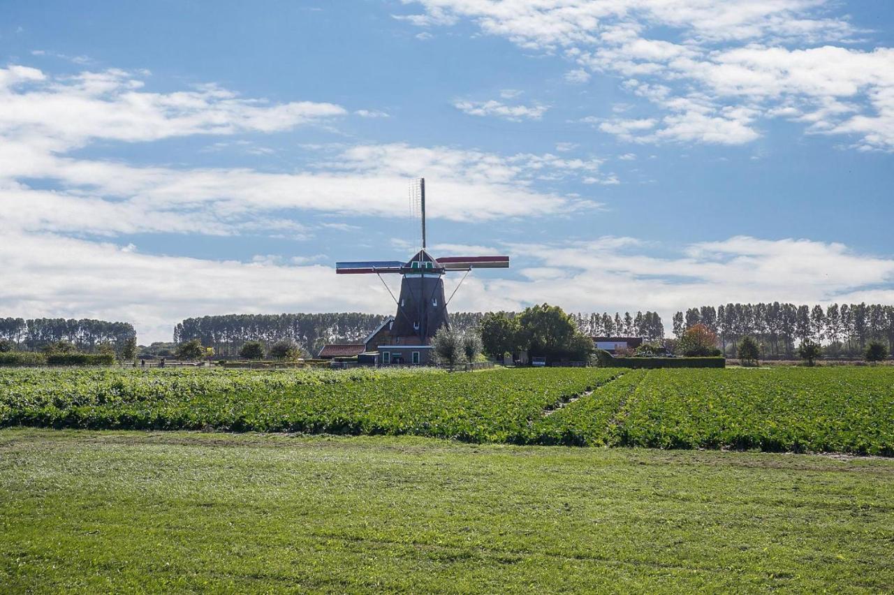Slapen Aan De Voet Van De Molen Ovezande Dış mekan fotoğraf